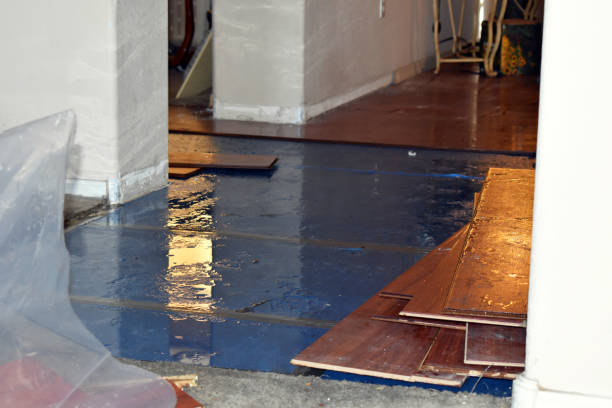 Professional Basement Flood Cleanup technician working in Sorrento, ME